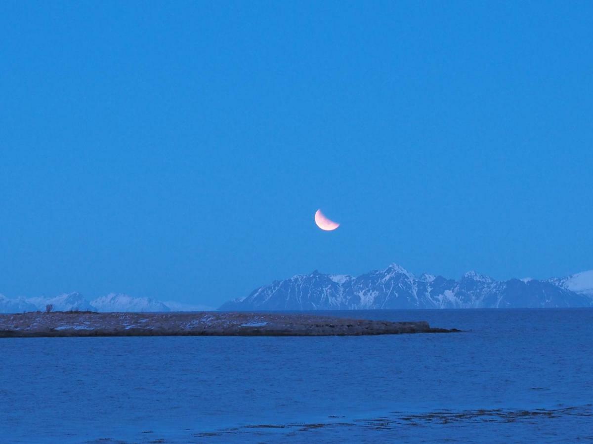 Lofoten Ocean View - Sandoy Gard Sand  Exterior foto