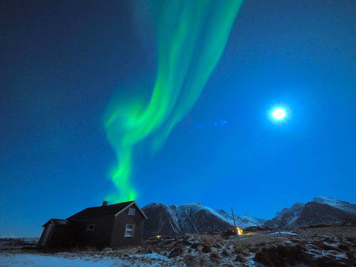 Lofoten Ocean View - Sandoy Gard Sand  Exterior foto